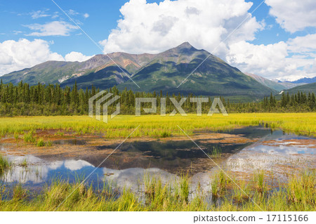 Lake on Alaska Lake on Alaska 17115166