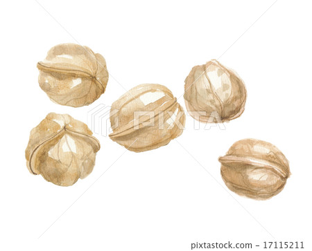 5個核桃 5個核桃 17115211