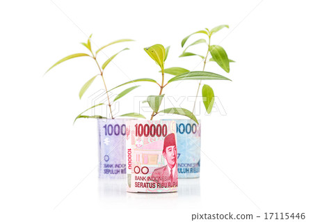 Concept of green plant grow on Indonesia Rupiah Concept of green plant grow on Indonesia Rupiah 17115446