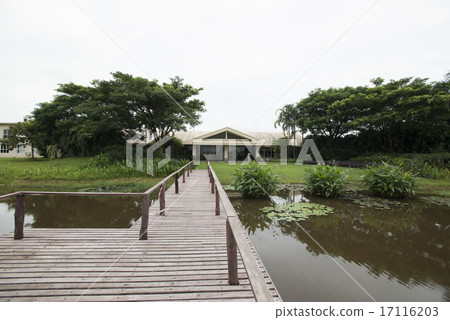 緬甸仰光星城高爾夫球場 17116203