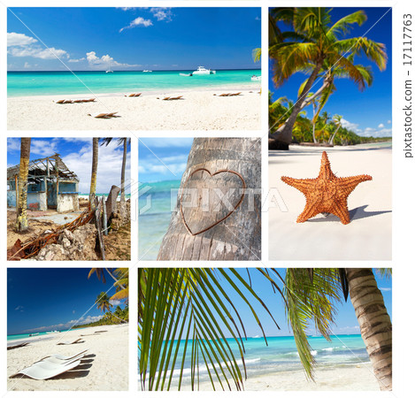 Caribbean nature collage Caribbean nature collage 17117763