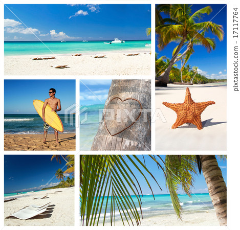 Caribbean nature collage Caribbean nature collage 17117764