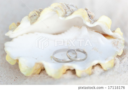 Romantic tropical scene on beach 17118176