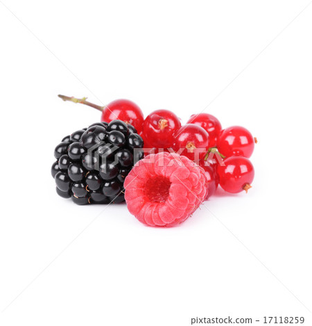 Berries on white 17118259