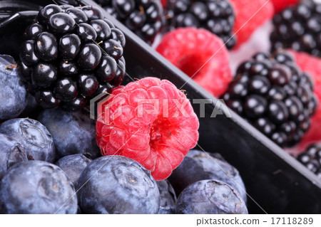 Whortleberries, raspberry and blackberry 17118289