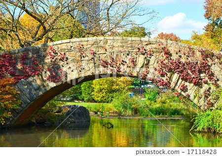 New York City Central Park in autumn New York City Central Park in autumn 17118428