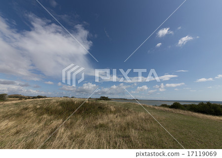 grass hill grass hill 17119069
