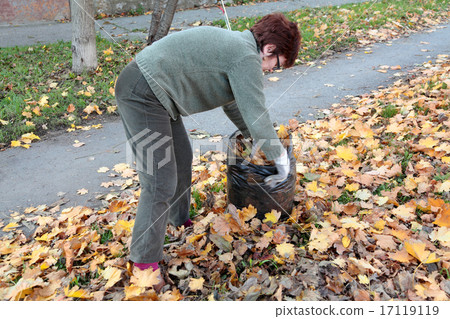 Leaves picking in autumn 17119119