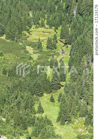 Stream Lomnica in Krkonose mountains 17119176