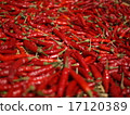 Red pepper 17120389