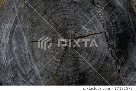 Texture of wood Texture of wood 17121572