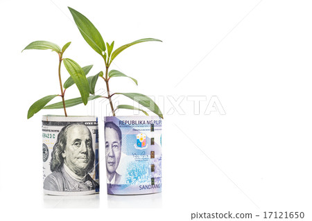 Concept of plant grow on USD and Philippines Piso 17121650