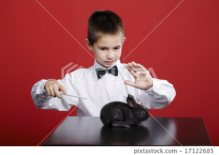 little magician with rabbit little magician with rabbit 17122685