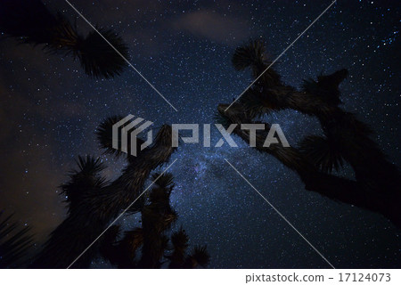 Milky Way over Joshua Tree Milky Way over Joshua Tree 17124073
