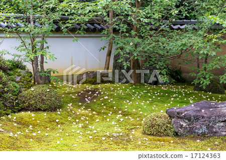 Myoshinji Toorinin - Saruji Saru Myoshinji Toorinin - Saruji Saru 17124363