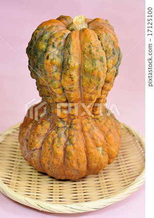 Kagaya南瓜 17125100