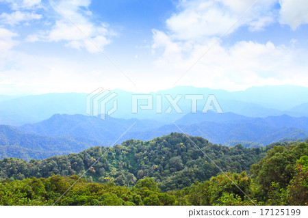 Views of the valley  17125199