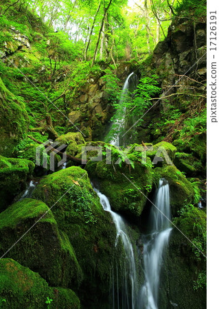 岩手縣花卷市夏季服裝瀑布 岩手縣花卷市夏季服裝瀑布 17126191