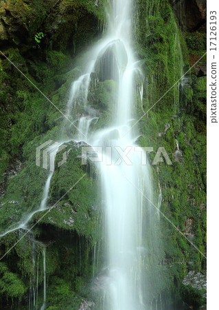 Hanamaki City, Iwate Prefecture Summer clothing waterfall Hanamaki City, Iwate Prefecture Summer clothing waterfall 17126193