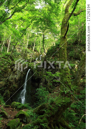 Hanamaki City, Iwate Prefecture Summer clothing waterfall 17126194
