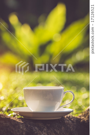 White coffee cup in the park White coffee cup in the park 17126521