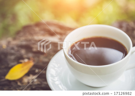 White coffee cup in the garden 17126982