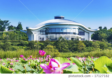宮城縣·庇護中心和伊豆沼蓮花節 17127182