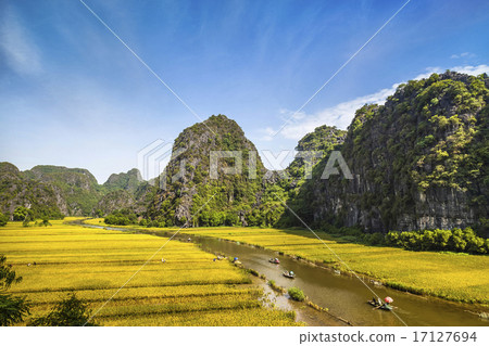 Rice field and river in TamCoc, NinhBinh, Vietnam 17127694