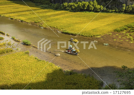Rice field and river in TamCoc, NinhBinh, Vietnam 17127695
