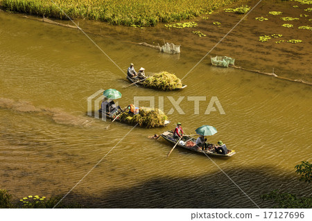 Rice field and river in TamCoc, NinhBinh, Vietnam 17127696
