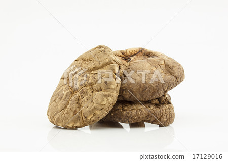 shiitake mushroom on white background shiitake mushroom on white background 17129016
