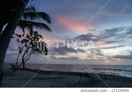 Jeep Island Jeep Island 17129940