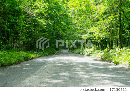 碎石路和新鮮的綠色 17130511