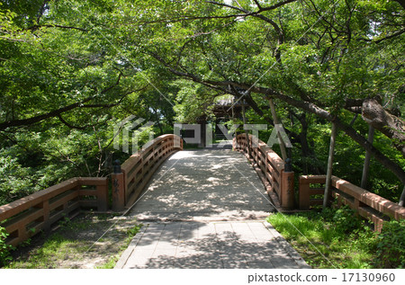 Takato-jo櫻花橋 17130960