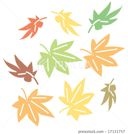 楓葉掉下來 17131757