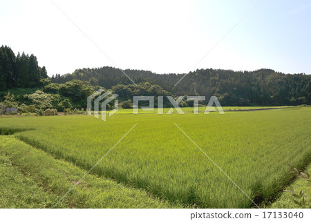 Satoyama Okuto Noto的景觀 17133040