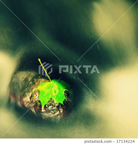 Autumn colorful leaf. Castaway on slipper stone  17134224