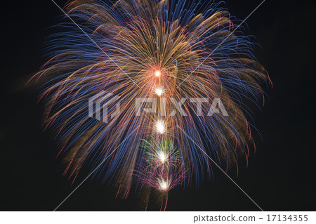 A flower blooming in the summer night sky A flower blooming in the summer night sky 17134355