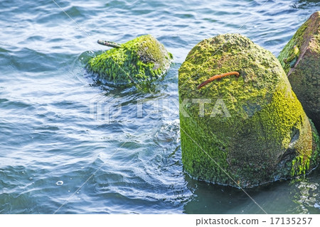 Baltic Sea with wavebreaker Baltic Sea with wavebreaker 17135257