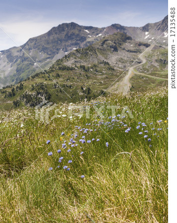 Landscape of the Pyrenees in Andorra Landscape of the Pyrenees in Andorra 17135488