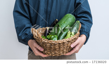 商 商 17136020