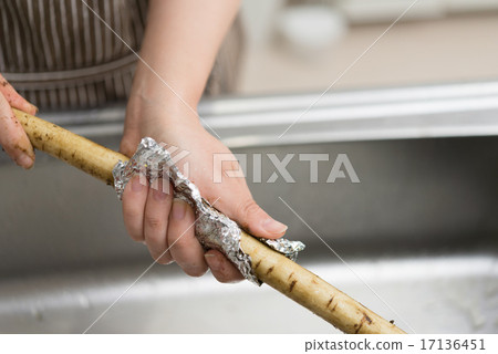 Burdock root 17136451