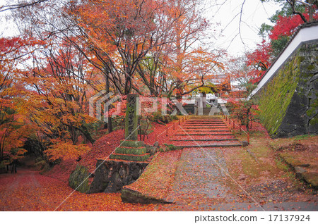 Ponten Temple of autumn leaves 17137924