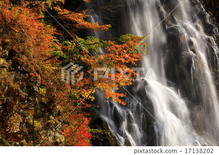 Akita Prefecture Ani Town Tachimasu valley One fall of autumn leaves 17138202