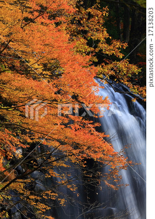 Akita Prefecture Ani Town Tachimasu valley One fall of autumn leaves 17138203