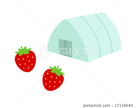 House strawberry 17138640