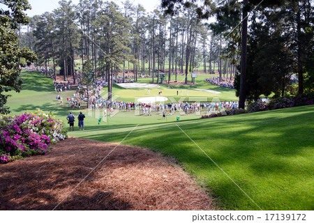 Georgia State Golf Course, USA 17139172
