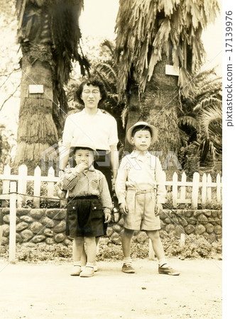 Showa 017 Showa 017 17139976