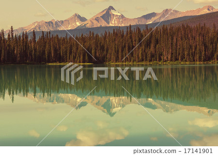 Emerald lake Emerald lake 17141901
