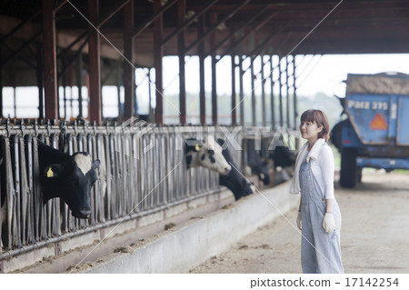 A woman working in a farm A woman working in a farm 17142254